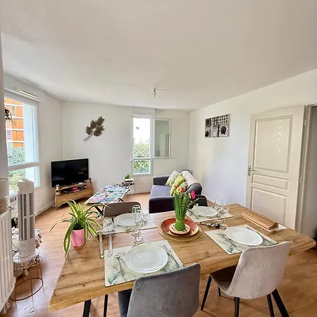 Appartamento Spacieux T3 - Lumineux - Ile De & Centre Avec Terrasse Et Parking *
